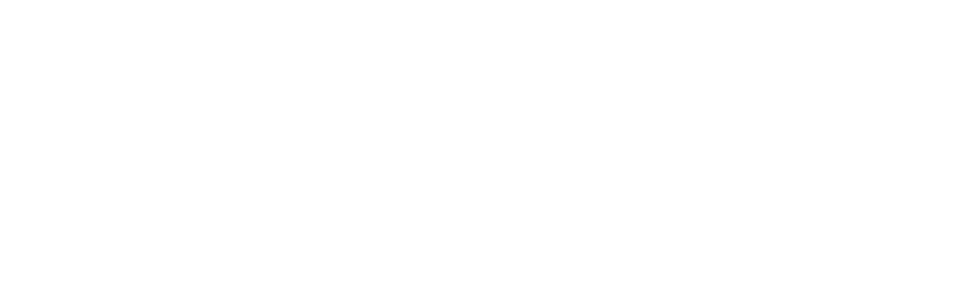 KISARAZU MOVEMENT CAMP